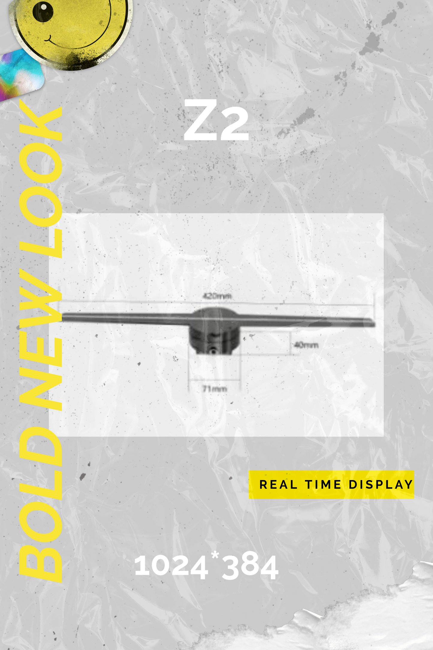 Z2